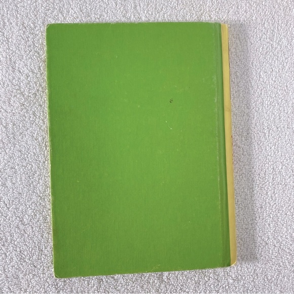 Vintage Bernstein Bears The Bears Picnic Hard Cover Story Book - Picture 2 of 9